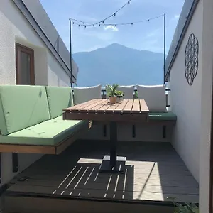 Bella Camelia - Di San Siro (Lombardy)